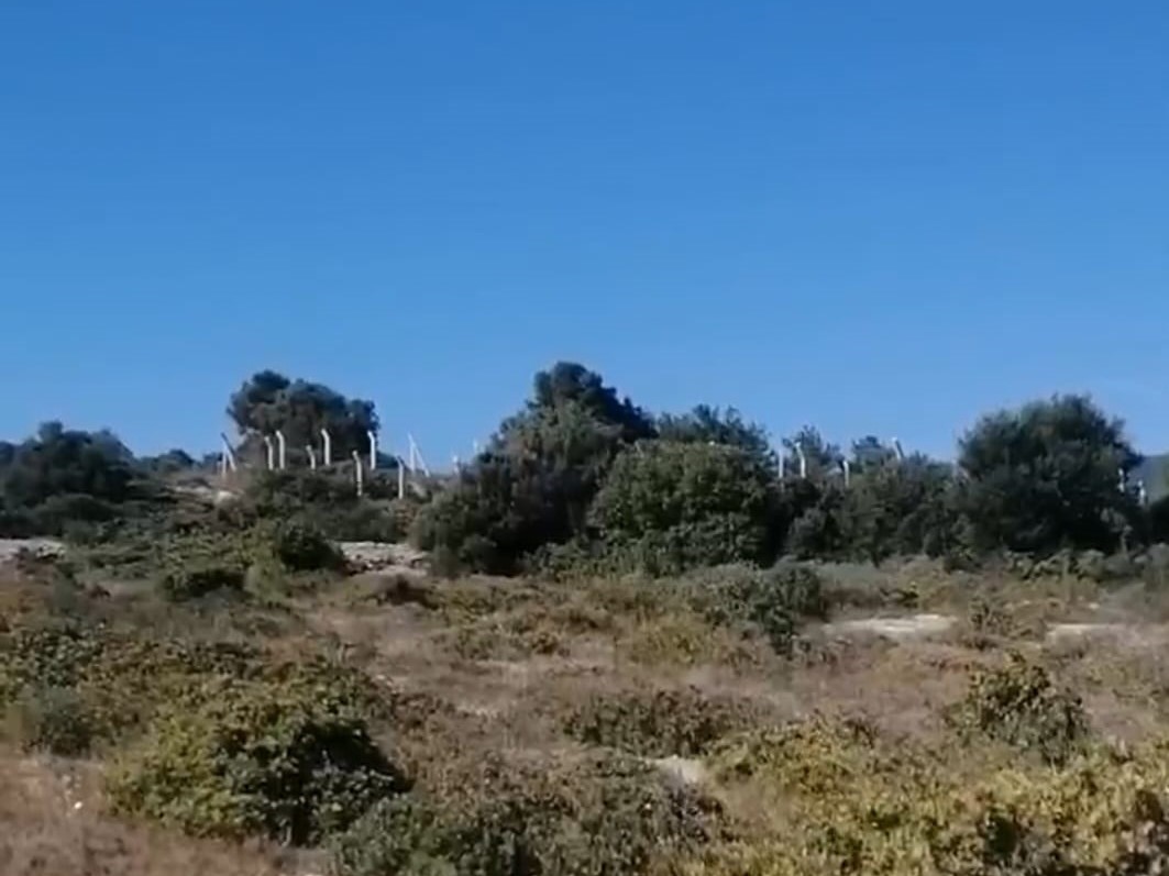 Çınar Gayrimenkul